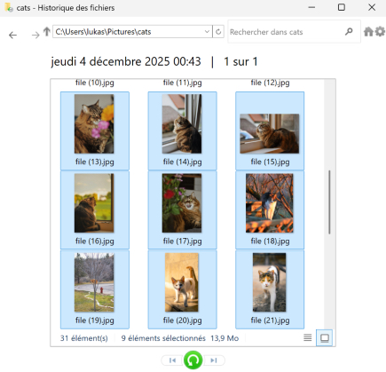 Historique des fichiers