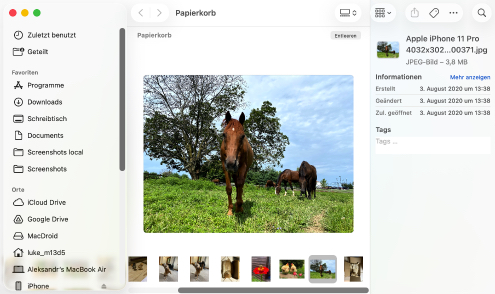 Methoden zum Wiederherstellen gelöschter Dateien von einer SD-Karte auf einem Mac ohne Software Methoden zum Wiederherstellen gelöschter Dateien von einer SD-Karte auf einem Mac ohne Software