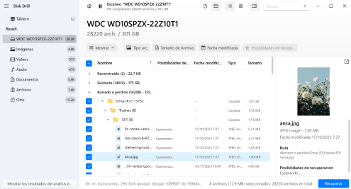 Previsualizar los archivos encontrados