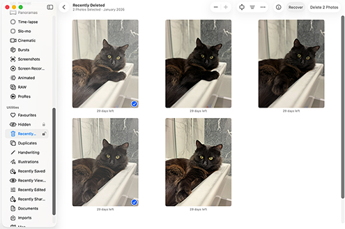 Obnovte své soubory ze složky Koš specifické pro aplikaci