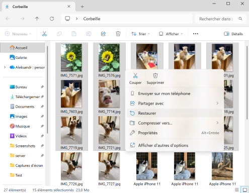Récupérer directement depuis la corbeille