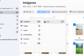 Utiliza filtros para una búsqueda más rápida / selecciona un tipo de archivo específico