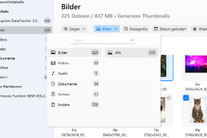 Verwenden Sie Filter für eine schnellere Suche / wählen Sie einen bestimmten Dateityp aus