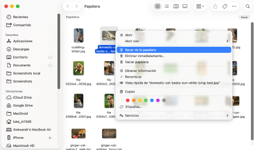 Asegúrate de que realmente eliminaste los archivos de la Papelera