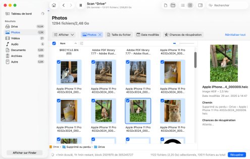 Veuillez attendre que le logiciel termine l’analyse.