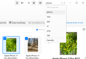 Cerca file Cerca file
