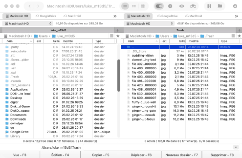 Comment fonctionne le dossier Corbeille du Mac