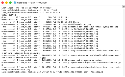 Comment utiliser l’application Terminal pour récupérer des fichiers de la corbeille