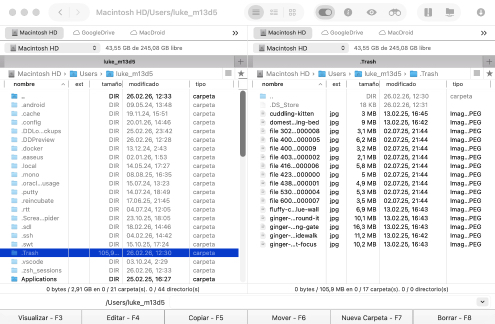 ¿Cómo funciona la carpeta Papelera del Mac?