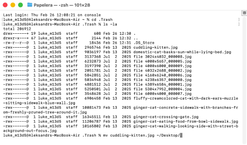 Cómo usar la aplicación Terminal para recuperar archivos de la papelera