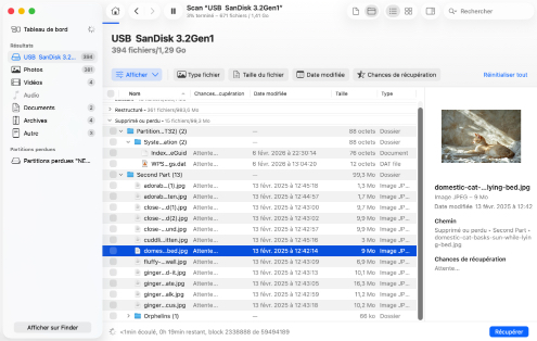 Fichiers de révision trouvés
