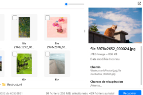 Aperçu des images avant la récupération