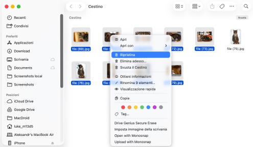 Recupera dal Cestino del tuo Mac