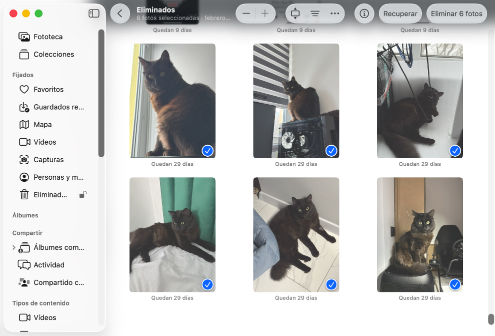 Recupera tus archivos de una papelera específica de la aplicación