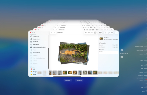Recuperar con una copia de seguridad de Time Machine