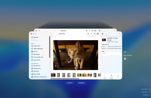 Récupérer à partir d’une sauvegarde Time Machine