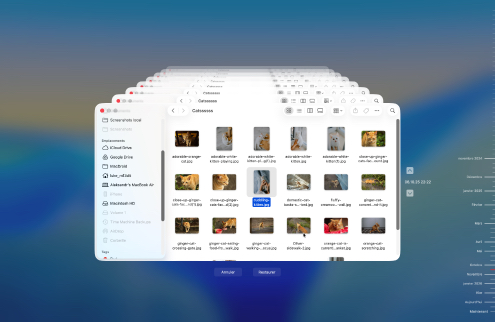 Récupérer avec une sauvegarde Time Machine Récupérer avec une sauvegarde Time Machine
