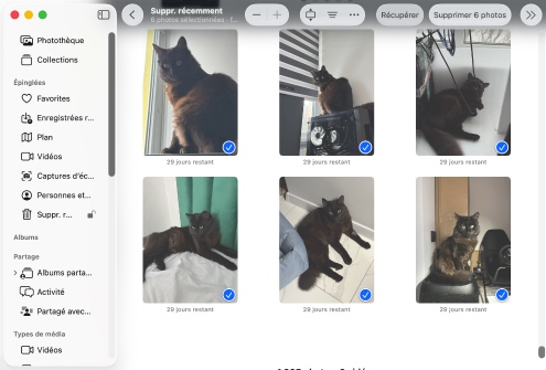 Récupérez vos fichiers depuis une corbeille spécifique à l'application
