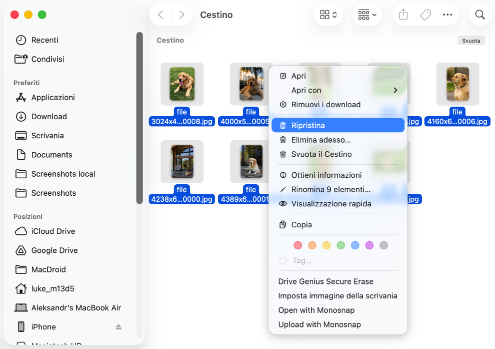 Recupero dei dati dal Cestino del Mac Recupero dei dati dal Cestino del Mac
