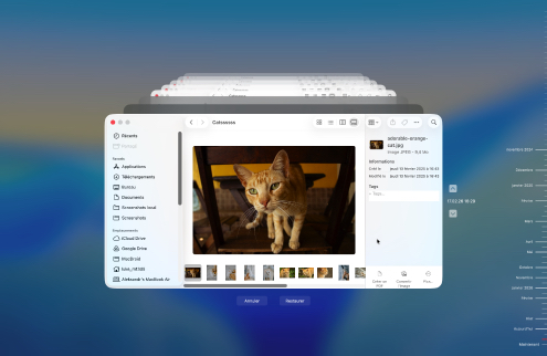 Restaurer à partir d’une sauvegarde Time Machine