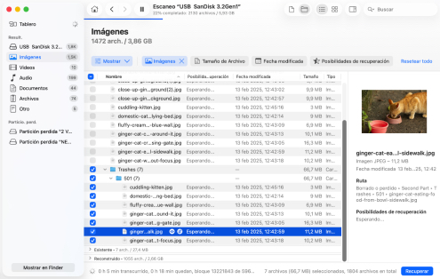 Revisar archivos encontrados