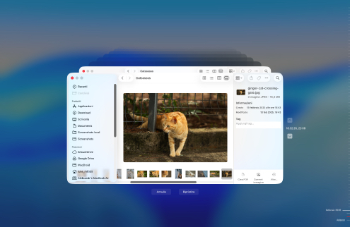 Ripristina da un backup di Time Machine Ripristina da un backup di Time Machine