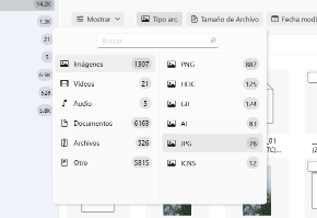Utiliza filtros para una búsqueda más rápida o para seleccionar un tipo de archivo específico.