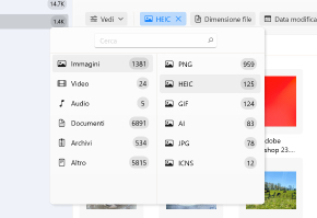 Usa i filtri per una ricerca più rapida o per selezionare un tipo di file specifico Usa i filtri per una ricerca più rapida o per selezionare un tipo di file specifico