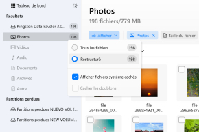 Vérifier les trois dossiers de récupération