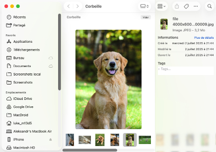 Vérifiez la corbeille