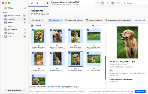 Vista previa y selección de archivos para recuperar