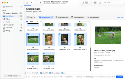 Voorbeeldweergave en selecteer bestanden voor herstel