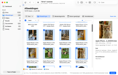 Wacht tot de software klaar is met scannen