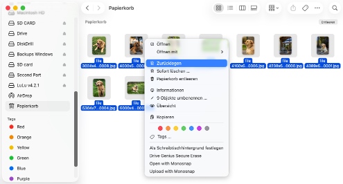 Wiederherstellen von Daten aus dem Papierkorb Ihres Mac Wiederherstellen von Daten aus dem Papierkorb Ihres Mac