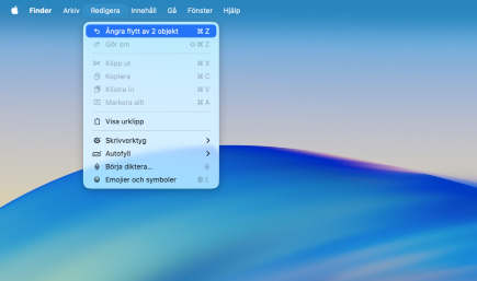 Använd kommandot Ångra