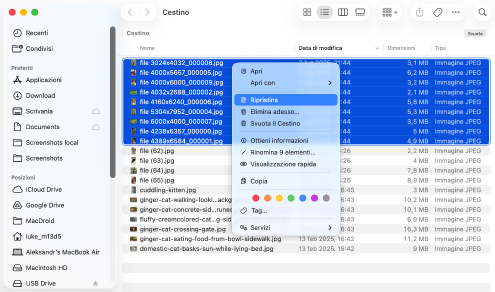 Assicurati di aver effettivamente eliminato i file dal Cestino
