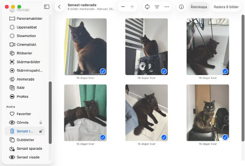 Återställ dina filer från en appspecifik papperskorgsmapp