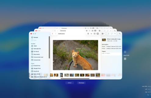 Återställ med en Time Machine-säkerhetskopia