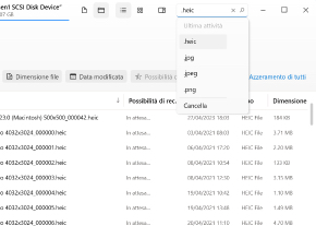 Cerca file Cerca file