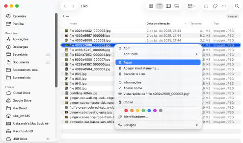 Certifique-se de que você realmente excluiu os arquivos da lixeira
