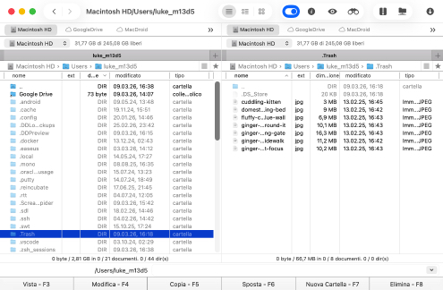 Come funziona la cartella Cestino del Mac