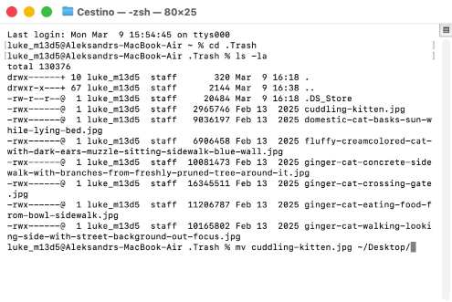 Come usare l’app Terminale per recuperare i file dal Cestino