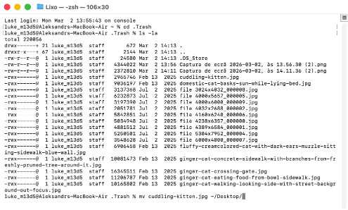 Como usar o aplicativo Terminal para recuperar arquivos da Lixeira