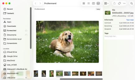 Controleer de prullenbak