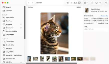 Controlla il Cestino