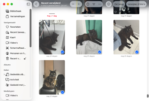 Herstel je bestanden uit een app-specifieke prullenbakmap