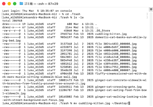 ターミナルアプリを使ってゴミ箱からファイルを復元する方法