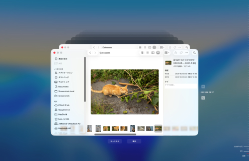 Time Machineバックアップから復元する