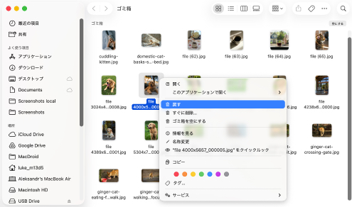 ゴミ箱からファイルを実際に削除したことを確認してください