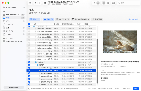 見つかったファイルを確認